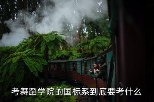 考舞蹈学院的国标系到底要考什么