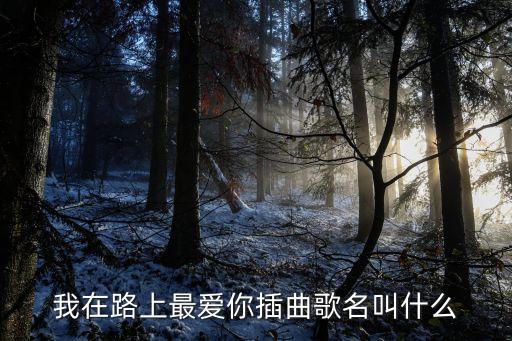 我在路上最爱你插曲歌名叫什么