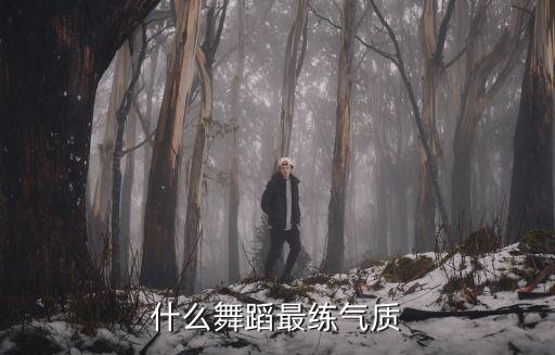 什么舞蹈最练气质