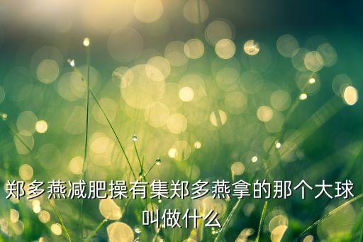 郑多燕减肥操有集郑多燕拿的那个大球叫做什么