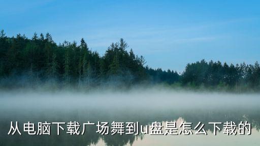 电脑下载广场舞视频怎么下载，笔记本电脑下载广场舞到u盘的具体步骤