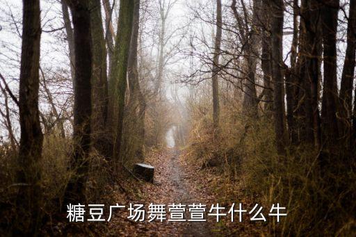 牛什么牛广场舞云裳，糖豆广场舞萱萱牛什么牛