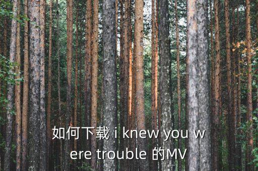 抓钱舞视频怎么下载，中脉视频怎么下载