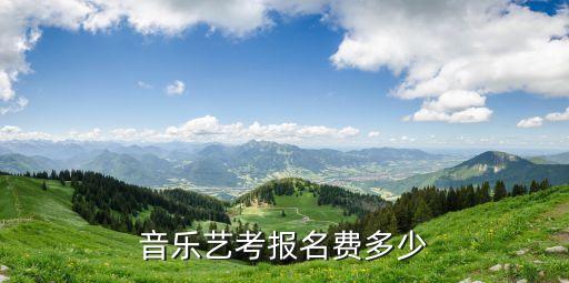 音乐艺考报名费多少