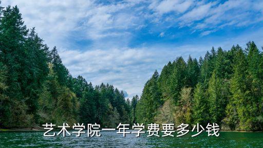 艺术学院一年学费要多少钱