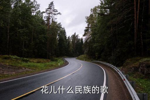 花儿什么民族的歌
