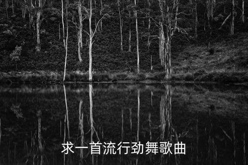求一首流行劲舞歌曲