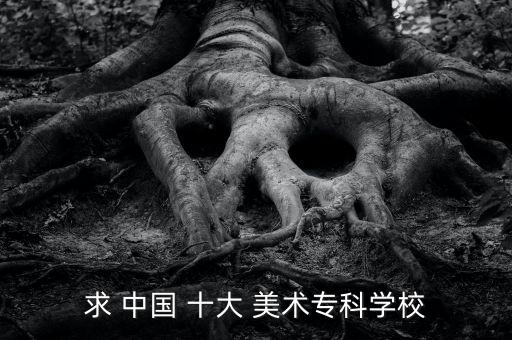 公办美术生专科学校，求 中国 十大 美术专科学校
