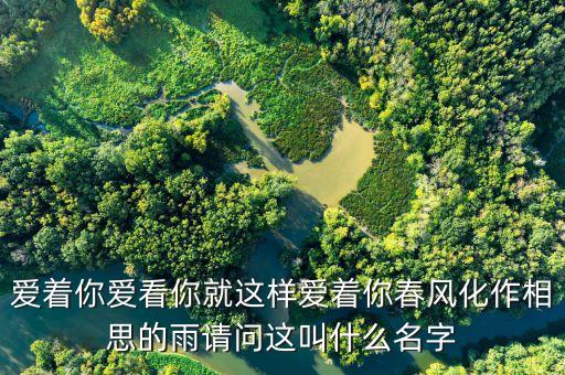 爱着你爱看你就这样爱着你春风化作相思的雨请问这叫什么名字