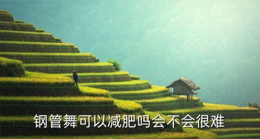 钢管舞可以减肥吗会不会很难