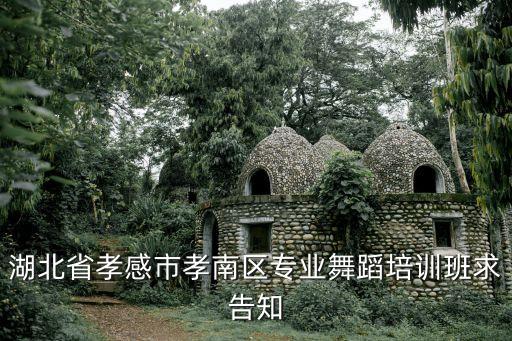 湖北省孝感市孝南区专业舞蹈培训班求告知