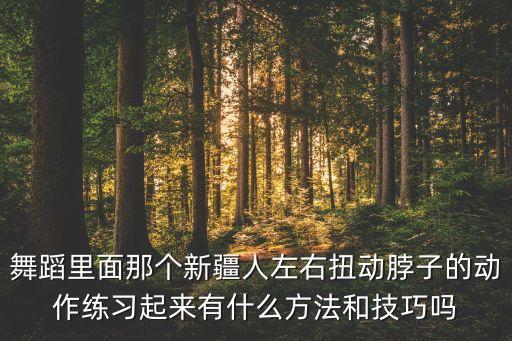 民族舞左右摇摆怎么学，你会鬼步嘛 6左右原地摇摆 怎么跳