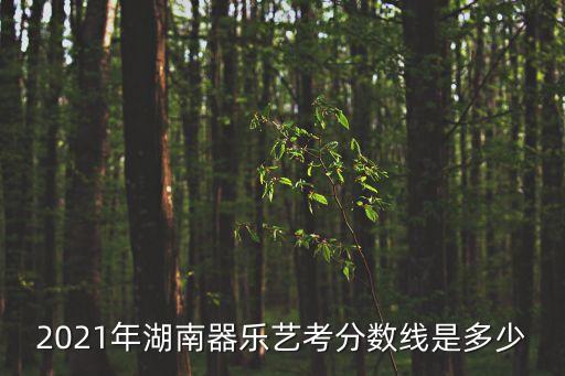 2021年湖南器乐艺考分数线是多少