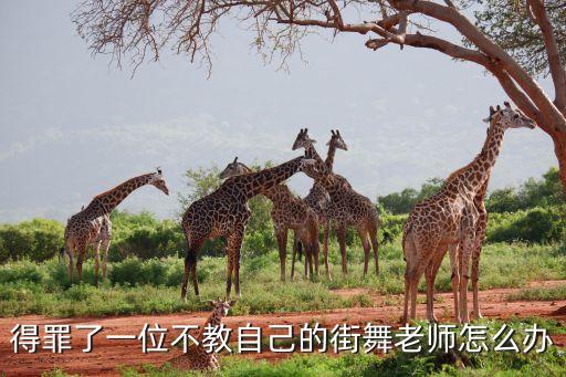 街舞老师不好怎么办，怎样才能获得街舞老师重视