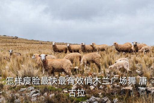 怎样瘦脸最快最有效俏木兰广场舞 唐古拉