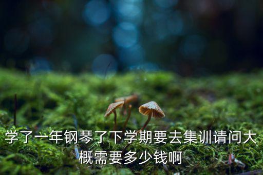 学了一年钢琴了下学期要去集训请问大概需要多少钱啊