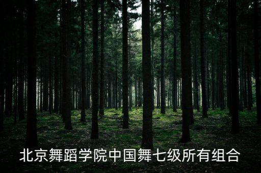舞协六级组合有哪些，宋茜民族舞几级