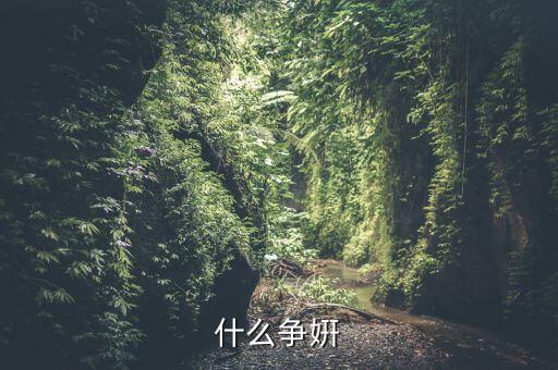 玉全广场舞争什么争，什么争姸
