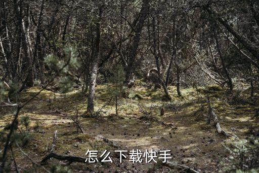 海外快手免登录下载，下载国际版快手需要卸载原来的中国版快手吗