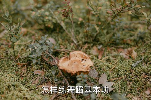 怎样练舞蹈基本功