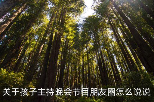 关于孩子主持晚会节目朋友圈怎么说说