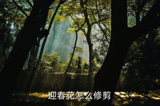 舞春花如何修剪，剪春花怎样剪
