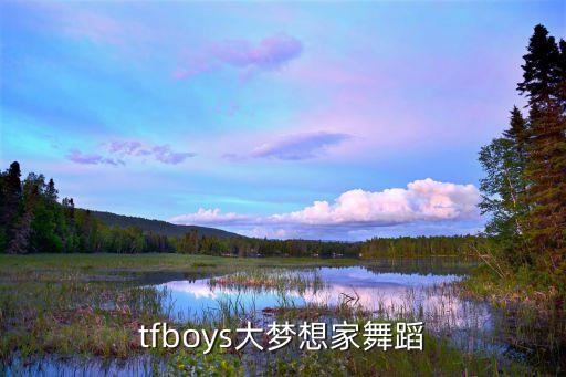 tfboys大梦想家舞蹈