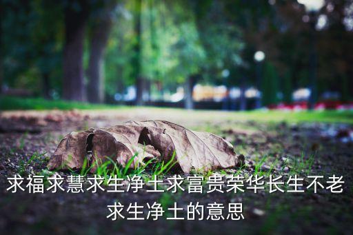 求福求慧求生净土求富贵荣华长生不老求生净土的意思