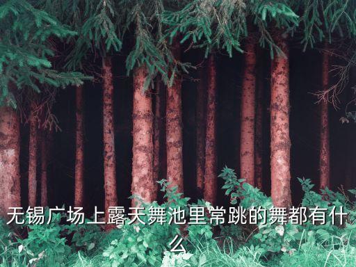 无锡广场上露天舞池里常跳的舞都有什么