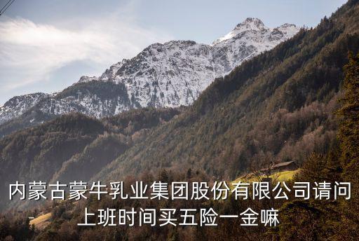 内蒙古蒙牛乳业集团股份有限公司请问上班时间买五险一金嘛