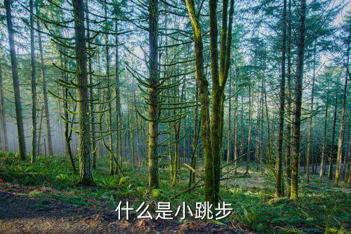小跳训练的是什么，什么是小跳步