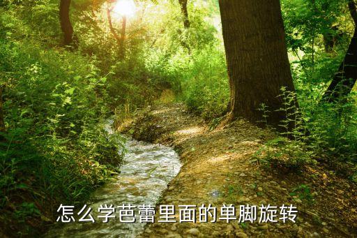 如何学芭蕾旋转，新手怎么练形体芭蕾舞旋转动作