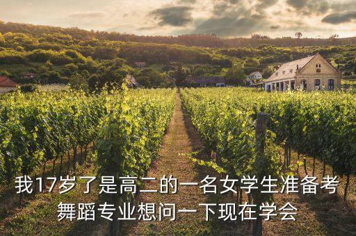 我17岁了是高二的一名女学生准备考舞蹈专业想问一下现在学会