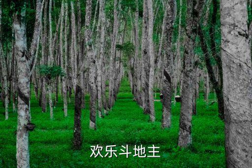 欢乐斗地主