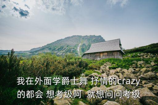 我在外面学爵士舞 抒情的crazy的都会 想考级阿  就想问问考级