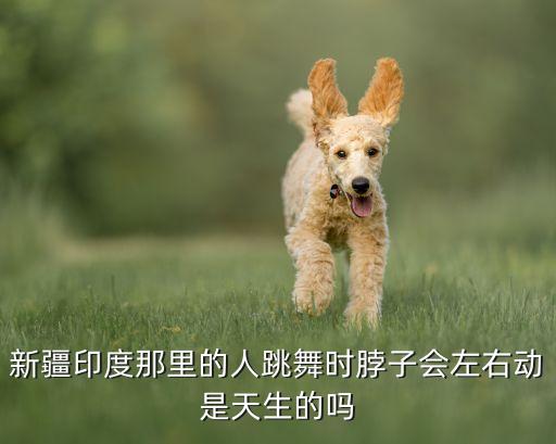 新疆印度那里的人跳舞时脖子会左右动是天生的吗