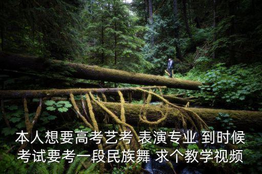 舞蹈艺术生考试视频，高考艺术生拉丁舞考试