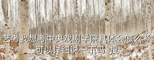 艺考我想考中央戏剧学院具体会怎么考可以详细说一下吗  搜