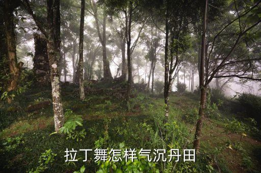 拉丁舞怎样气沉丹田