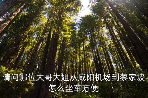 请问哪位大哥大姐从咸阳机场到蔡家坡怎么坐车方便