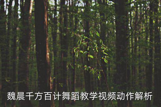 魏晨千方百计舞蹈教学视频动作解析