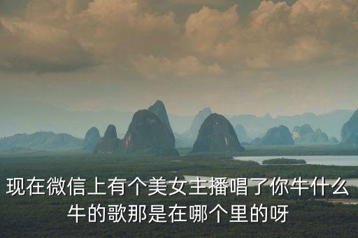 现在微信上有个美女主播唱了你牛什么牛的歌那是在哪个里的呀