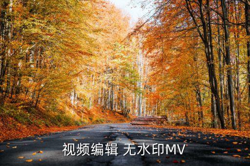 新人素材视频无水印迷你版，视频编辑 无水印MV
