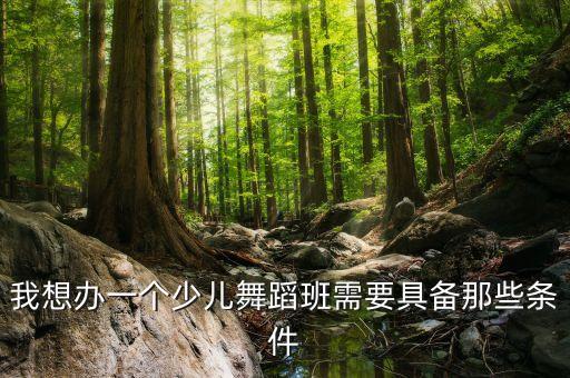 我想办一个少儿舞蹈班需要具备那些条件