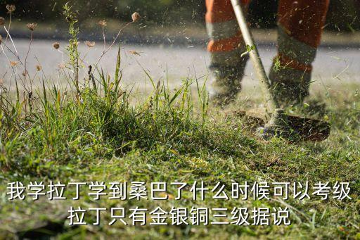 我学拉丁学到桑巴了什么时候可以考级拉丁只有金银铜三级据说