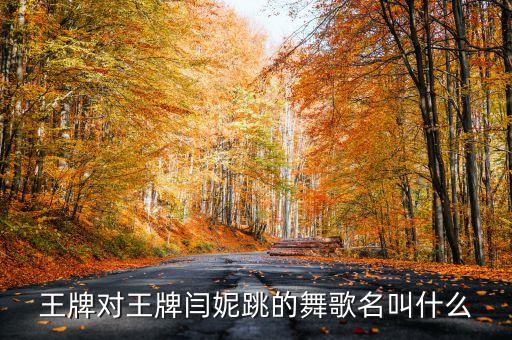 王牌对王牌闫妮跳的舞歌名叫什么