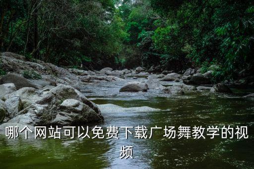 播放广场舞视频教程下载，哪个网站可以免费下载广场舞教学的视频