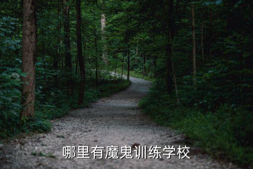 哪里有魔鬼式训练的学校，广州哪家魔鬼训练专业