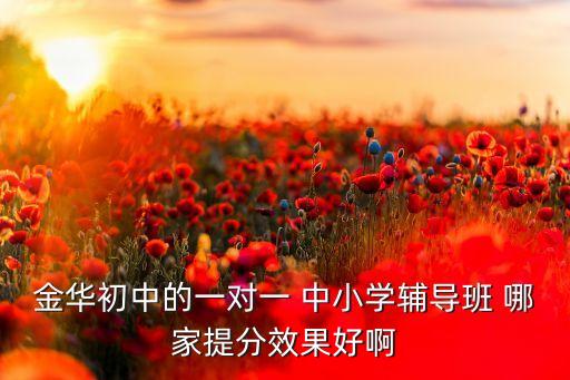 金华初中的一对一 中小学辅导班 哪家提分效果好啊