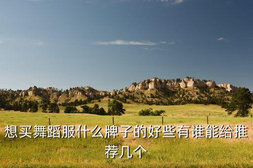想买舞蹈服什么牌子的好些有谁能给推荐几个